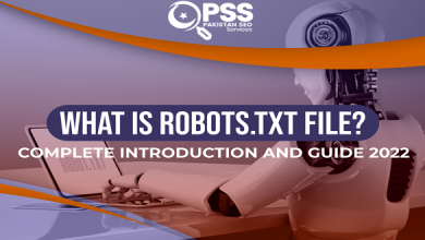 Robots.txt Introduction and Guide