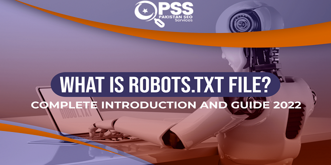 Robots.txt Introduction and Guide