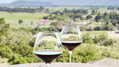 Wine-Tasting in Mendoza vs Wine-Tasting in Napa Valley