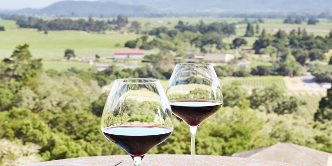 Wine-Tasting in Mendoza vs Wine-Tasting in Napa Valley